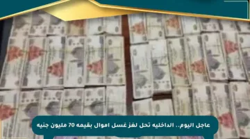 🔷 عاجل اليوم.. الداخلية تحل لغز غسل أموال بقيمة 70 مليون جنيه